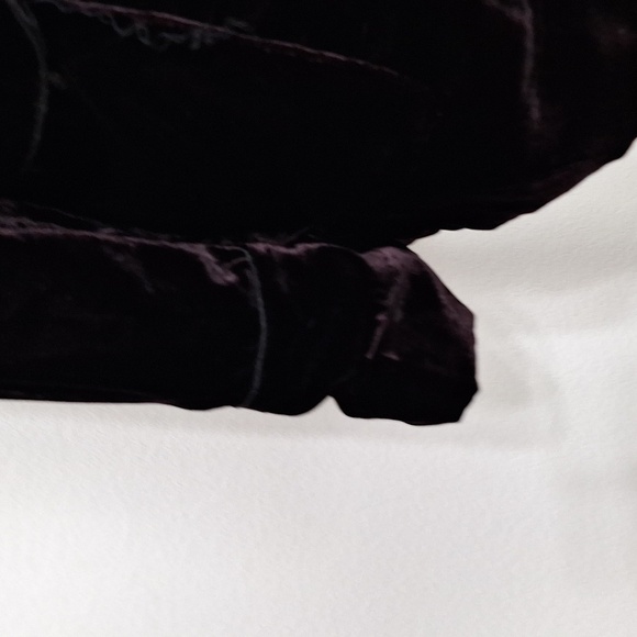 Amaryllis Dark Purple Velvet Romantic Whimsigoth Single Lapel Blazer Jacket XS - Picture 5 of 16